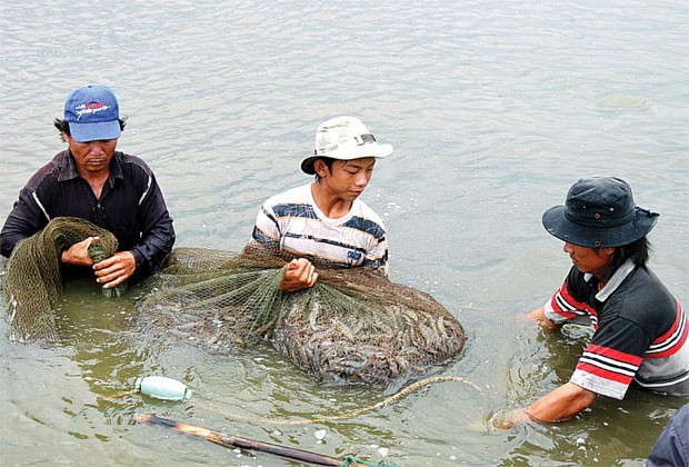 Kl99kl phiên bản hoạt động nông nghiệp nặng gánh rủi ro ảnh 1