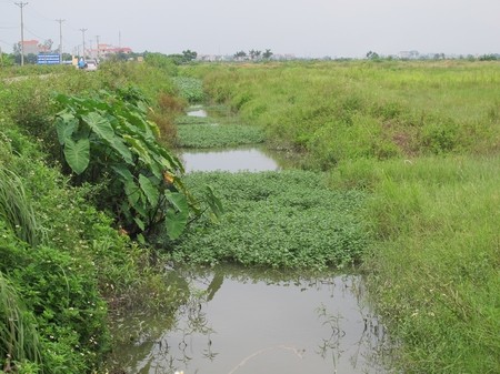 Choáng với cảnh hoang vu "siêu đô thị" Mê Linh ảnh 11