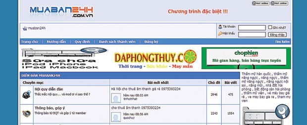 Thương mại điện tử, “con voi” chui lọt lỗ kim ảnh 1