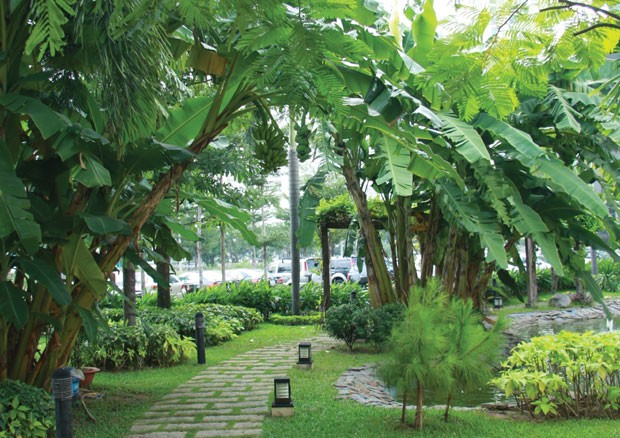 Dragon City, nơi giá trị mãi sinh sôi ảnh 2