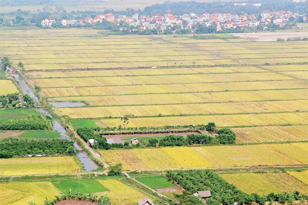 Luật Đất đai, "chưa thông" quy định thu hồi đất ảnh 1