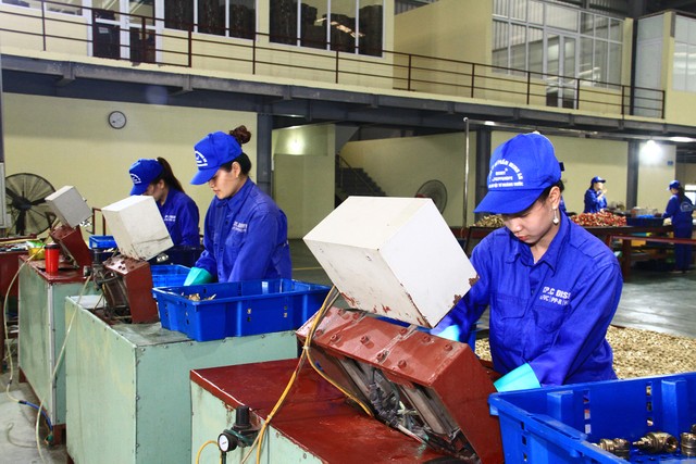 Với Web Tổng Nhà Cái 99Kl99 Giải Trí Bậc Nhất công nghiệp, COVID-19 chỉ tác động ngắn hạn, còn sẽ hưởng lợi lớn từ EVFTA ảnh 1