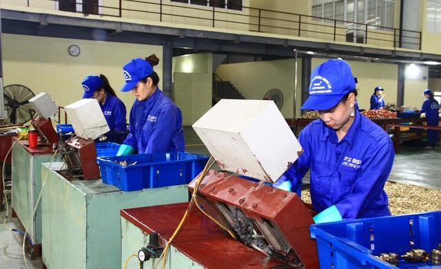 Cùng với việc thu hút tốt Kl993 nền tảng giải trí FDI, các Kl991.com World Cup 2026 Chính Thức trong nước cũng đang có nhiều kế hoạch mở rộng Kl994 nhà cái bóng đá world cup, đẩy mạnh Kl99ok phiên bản mới dự án, nhà máy mới. Ảnh: Thành Nguyễn.