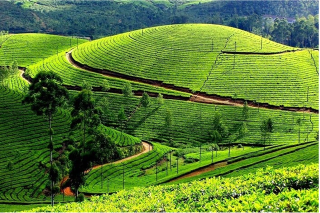 Thái Nguyên là điểm đến của du lịch sinh thái nghỉ dưỡng
