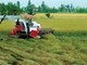 Kl99ok phiên bản mới công sẽ tạo đòn bẩy cho nông nghiệp phát triển ảnh 1 Kl99ok phiên bản mới công sẽ tạo đòn bẩy cho nông nghiệp phát triển ảnh 1