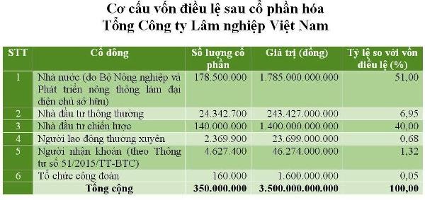 VINAFOR thành lập liên doanh Kl994 nhà cái bóng đá world cup bột giấy trị giá 3.500 tỷ đồng ảnh 1