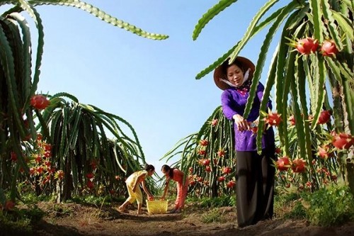 Tổng hợp những điểm du lịch lý tưởng cho mùa thu ảnh 15