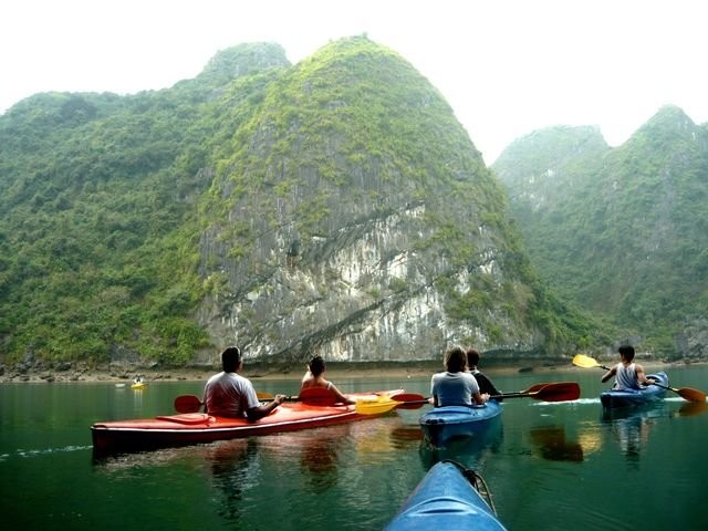 Đảo Cát Bà: Nơi rừng già và biển xanh gặp gỡ ảnh 2