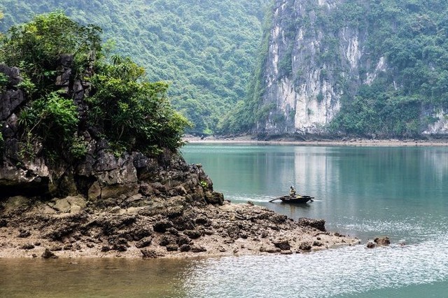 Đảo Cát Bà: Nơi rừng già và biển xanh gặp gỡ ảnh 5