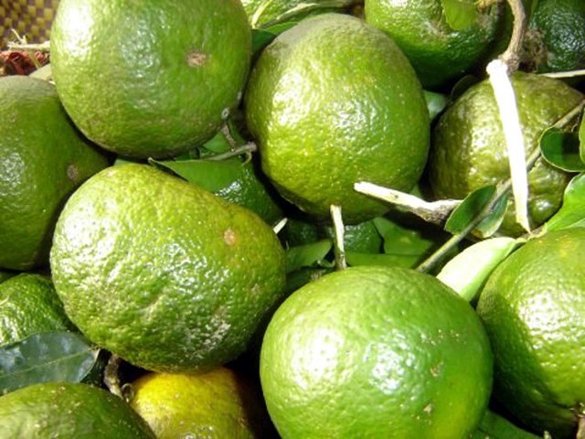 Dân Hà Nội “ăn quả lừa” vì cam Tàu đội lốt cam Việt Nam ảnh 6