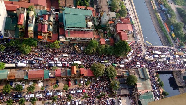 Hà Nội và TP HCM mỗi nơi cần có khoảng 30.000 xe buýt để thay thế hết được xe máy ảnh 1