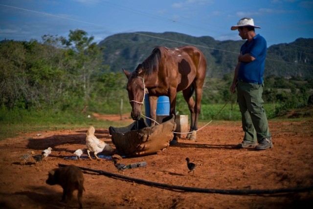 Bên trong trang trại Kl994 nhà cái bóng đá world cup xì gà nổi tiếng Cuba ảnh 5 Bên trong trang trại Kl994 nhà cái bóng đá world cup xì gà nổi tiếng Cuba ảnh 5