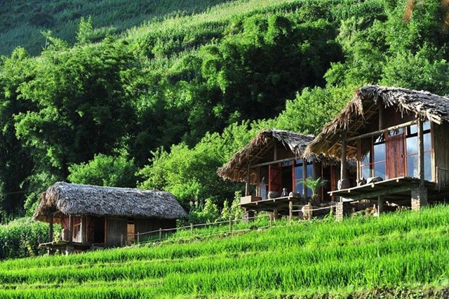 Những homestay có view cực đẹp tại Sa Pa ảnh 11