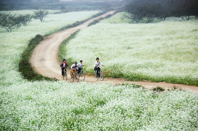 Những cao nguyên đẹp mê hồn ở Việt Nam ảnh 4
