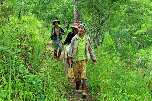 Chinh phục đỉnh Bidoup - 'nóc nhà' Lâm Đồng ảnh 5