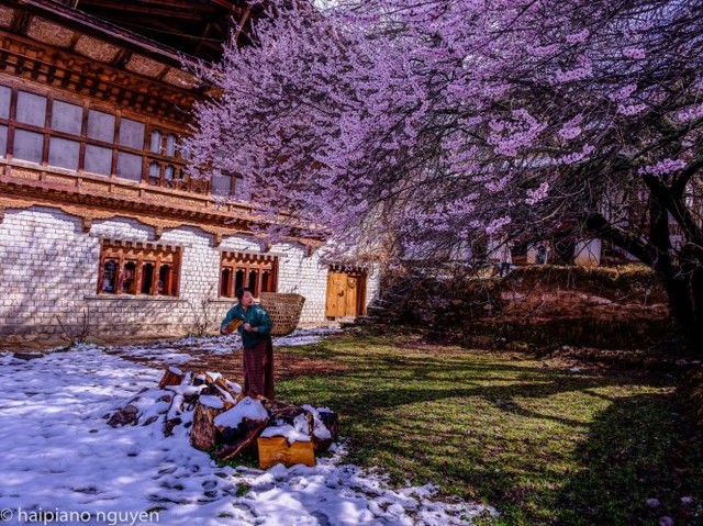 Bhutan mùa tuyết tan ảnh 15