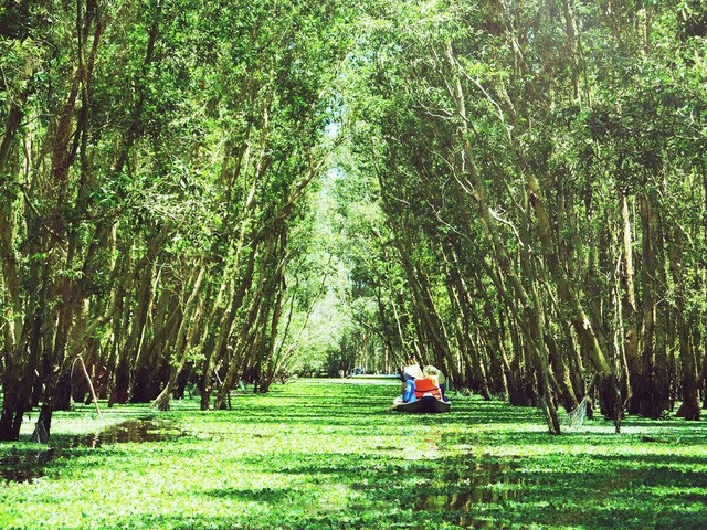 Cá linh mùa nước nổi: “Món quà” của lũ ảnh 1