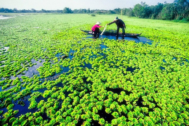 8 điểm đến ở Việt Nam cho người thích đi du lịch một mình ảnh 8