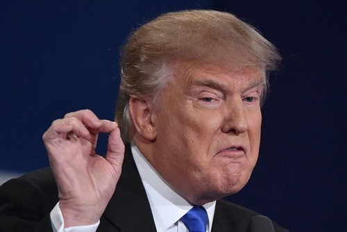 Ông Trump có thể đang hiểu lầm về quyền lực tổng thống Mỹ ảnh 1