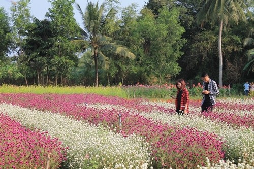 Năm điểm ăn chơi ở Tiền Giang cho chuyến đi ngắn ngày ảnh 5