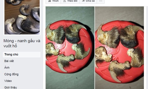 Hàng giả, hàng cấm ngập tràn 'chợ' Facebook ảnh 1