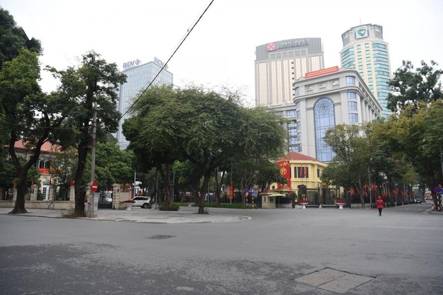 Một Hà Nội yên bình với những góc nhà cổ, những hàng cây đang mùa thay lá trong sớm đầu năm.
