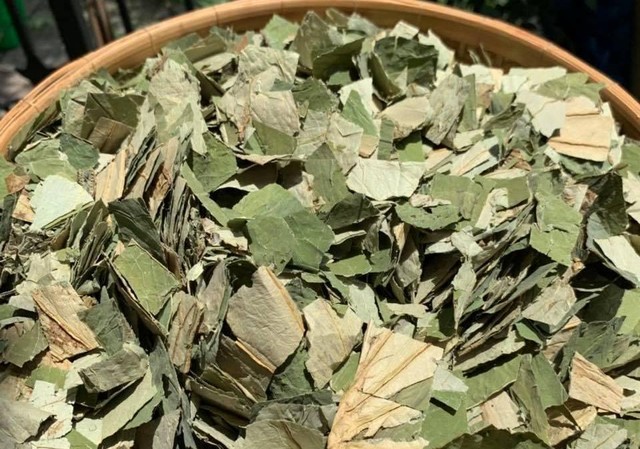 Lá sen khô có nơi bán tới 400.000 đồng/kg.