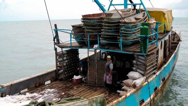 Đánh cược tính mạng với nghề bắt tôm hùm ảnh 2 Đánh cược tính mạng với nghề bắt tôm hùm ảnh 2
