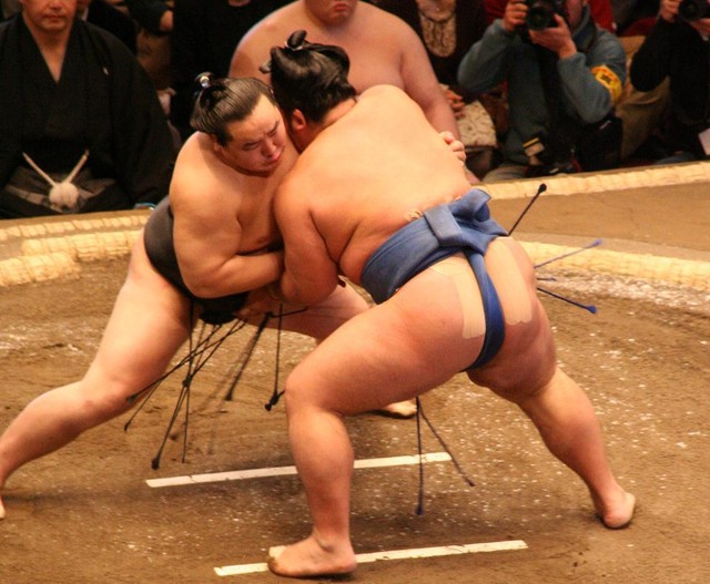 Trong SUMO, các võ sĩ khi lòng tay tư phải giữ thế vững vàng, kín kẻ.