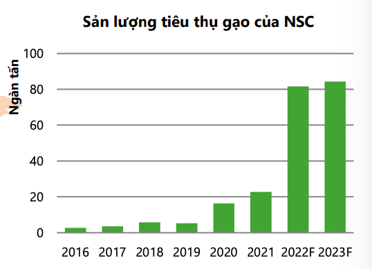 Sản lượng tiêu thụ gạo của NSC qua các năm