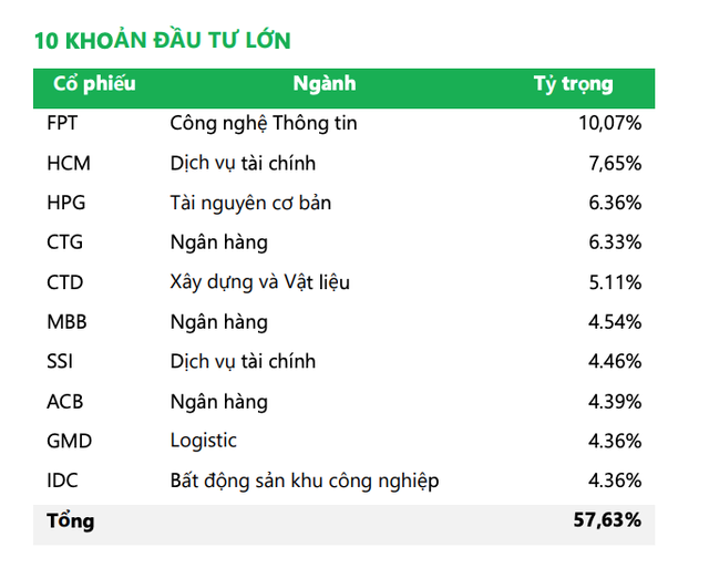 10 khoản Kl99ok phiên bản mới lớn nhất trong danh mục của NTPPF tính tới cuối tháng 6/2024