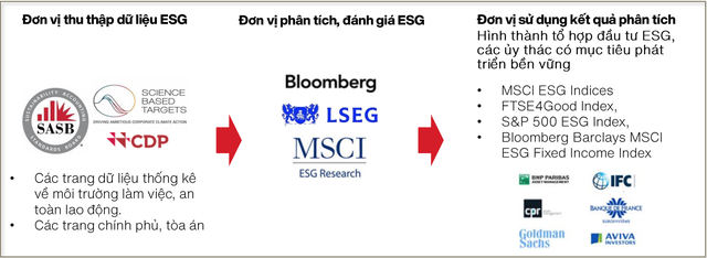 Các đơn vị quốc tế liên quan tới xếp hạng ESG