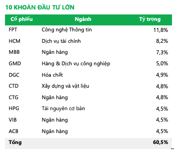 Top 10 khoản Kl99ok phiên bản mới của NTPPF tính tới cuối tháng 12/2024