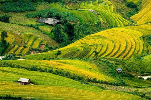 Những cung đường săn “mùa vàng” Tây Bắc đẹp nhất tháng 9 ảnh 2