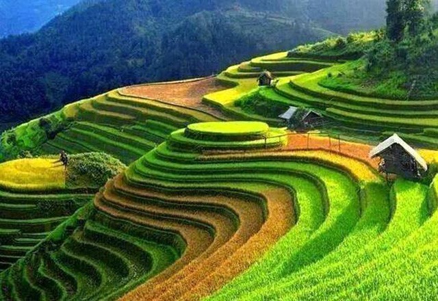 Những cung đường săn “mùa vàng” Tây Bắc đẹp nhất tháng 9 ảnh 3