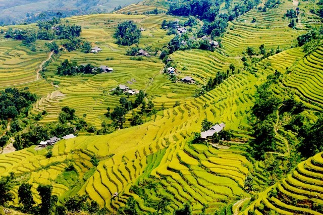 Những cung đường săn “mùa vàng” Tây Bắc đẹp nhất tháng 9 ảnh 5