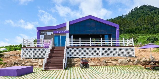 Khám phá hòn đảo “tím lịm tim“ ảnh 6
