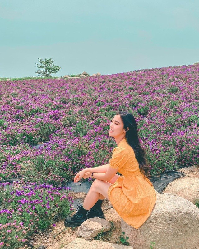 Khám phá hòn đảo “tím lịm tim“ ảnh 7