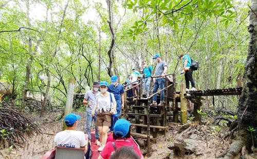 Đoàn du khách thí điểm thăm quan "vùng xanh" Cần Giờ