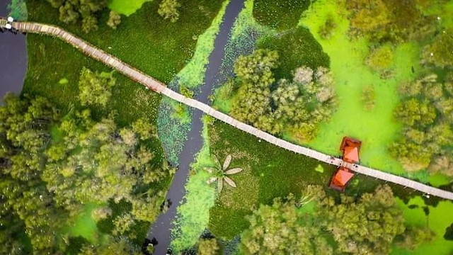 “Vương quốc” bảo tồn quần thể đa dạng sinh vật nhiệt đới ở vùng đất Tây Nam.