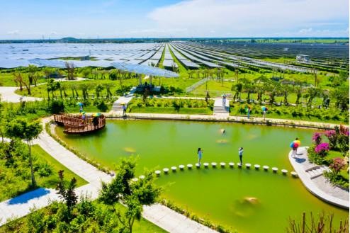 Xanh hút mắt ở Khu du lịch Điện mặt trời An Hảo thu hút du khách đổ xô tham quan.
