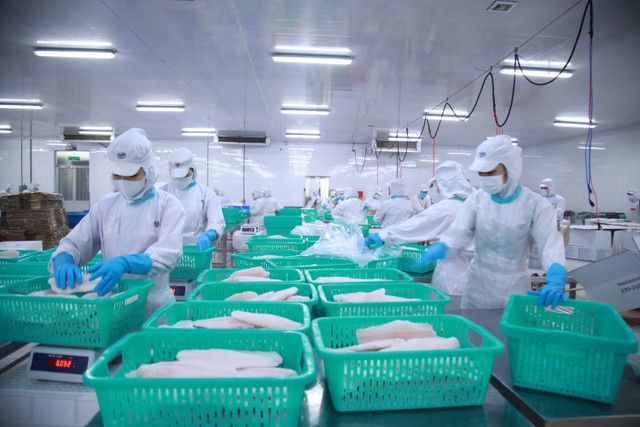 IDI có năng lực xuất khẩu quy mô lớn sang Mỹ.