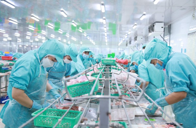 Doanh thu từ xuất khẩu thủy sản của Sao Mai tăng 64%