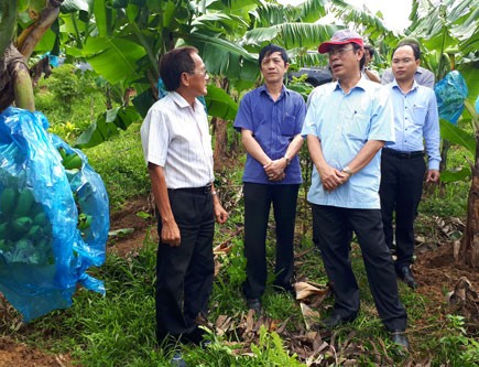 Quảng Trị: Chủ tịch huyện bị điều chuyển do “chưa thực sự đồng hành”, tháo gỡ khó khăn cho DN ảnh 2