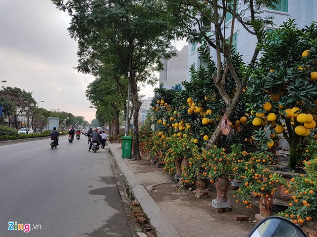 Mặt bằng bán hàng Tết: Thuê 10 m2 phải trả 20 triệu đồng ảnh 2