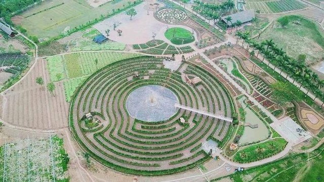 Mê cung bằng cây rộng 10.000 m2 ở ngoại thành Hà Nội ảnh 1