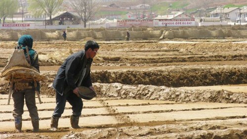 Thú tiêu khiển của giới nhà giàu Triều Tiên ảnh 2