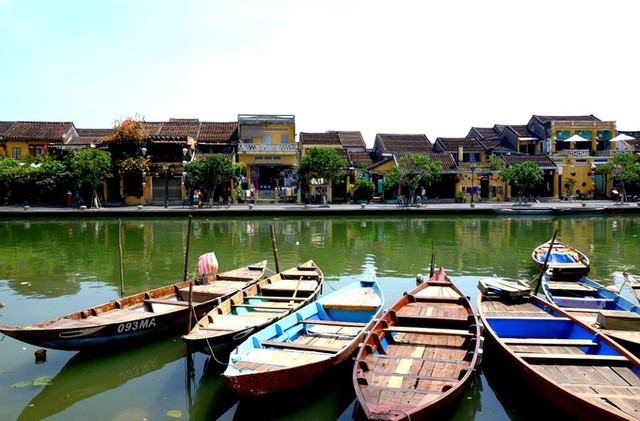 Hội An rực rỡ sắc hoa vào mùa hè ảnh 8