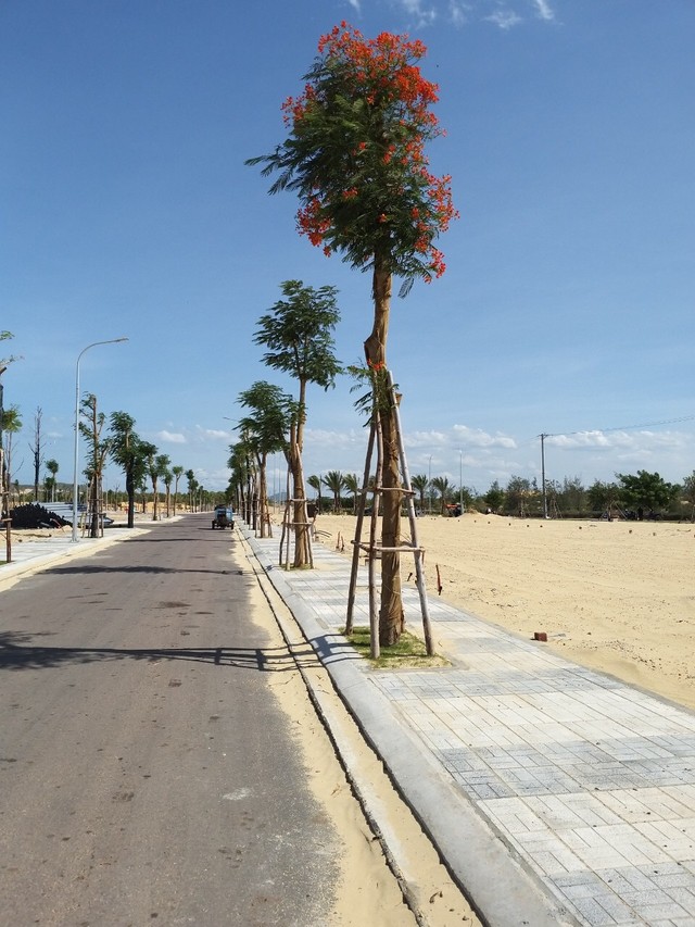 Đất nền ven biển, kênh Kl99ok phiên bản mới “vua” của thị trường ảnh 1
