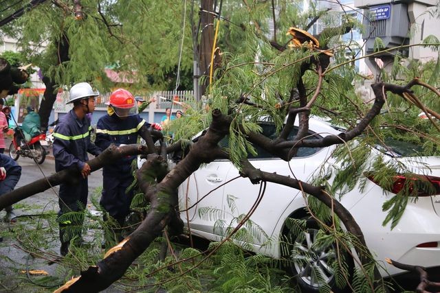 Hà Nội: Nam thanh niên bị cây đổ đè chết trên phố giữa trận giông lốc ảnh 1
